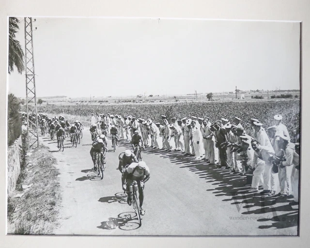 TOUR DE FRANCE 1937 - Grande Photo de presse 30x40cm - Cyclistes et marins