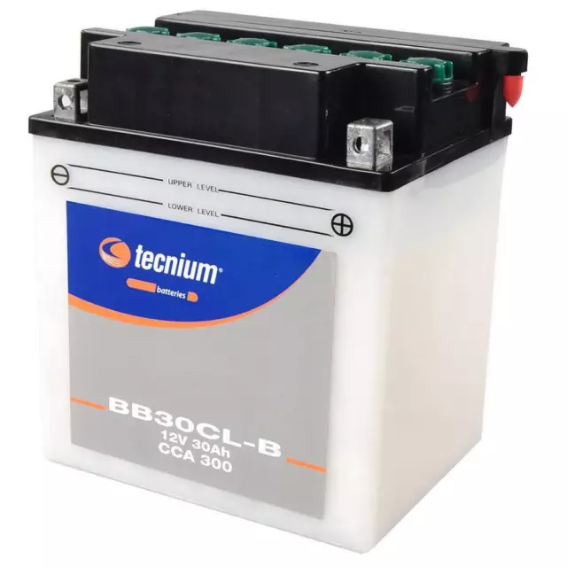 Batterie TECNIUM yb30cl-b