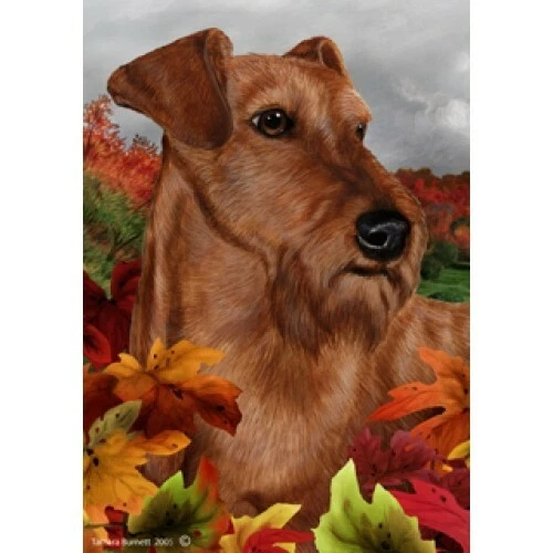 Fall Garden Flag (TB) - Irish Terrier 132201