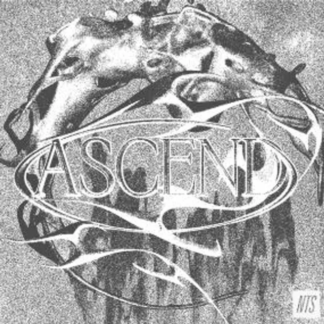 V.A. - Ascend (Vinyl 2LP - 2023 - UK - Original)