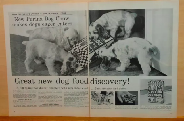 1957 two page magazine ad for Purina - Springer spaniel pups & Purina Dog Chow