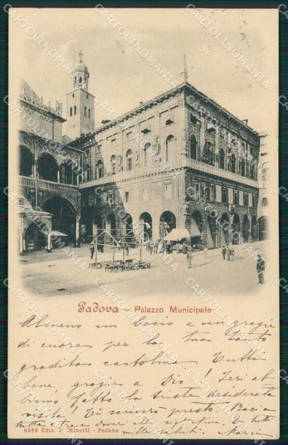 Padova Città Municipio PIEGHINA cartolina QT1353
