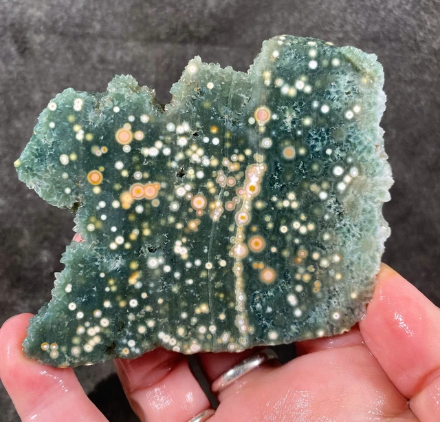 Ocean Jasper Agate  with Druzy Sparkle Rough Slab from Madagascar!