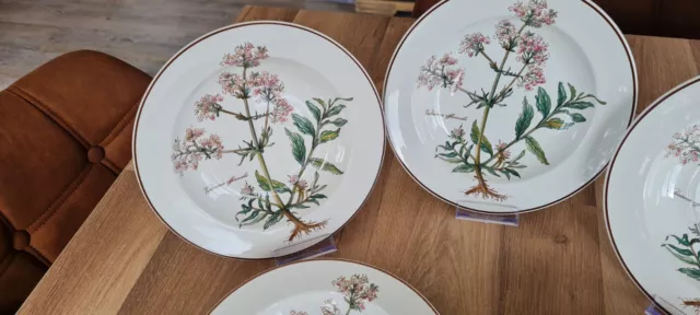 Lot 5 Assiettes Creuses Villeroy Et Boch  Botanica  22 cm 3