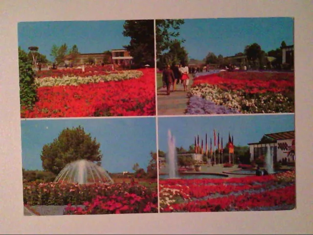 AK. Erfurt. DDR. Internationale Gartenbauausstellung. Mehrbildkarte mit 4 Abb.
