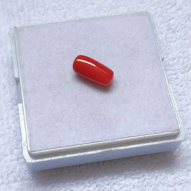 Cabochon de corail italien naturel de qualité AAA+, pierres précieuses en...