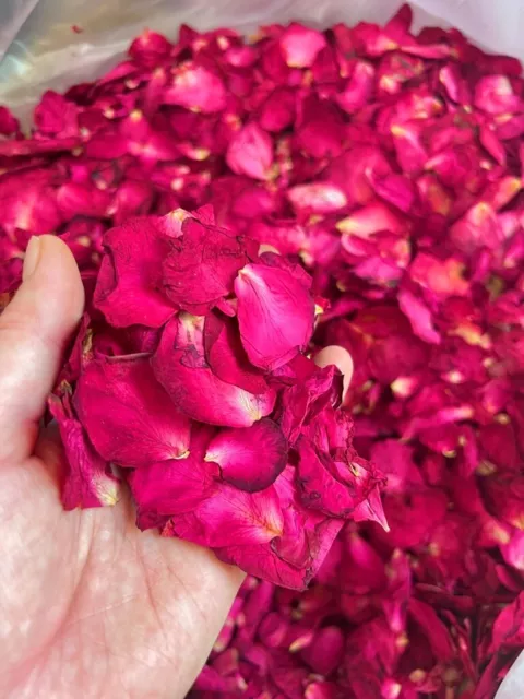 50 Ospiti Coriandoli Matrimonio Biodegradabili Avorio Rosso Petali di Rosa Fiori Essicchi 2