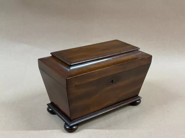 Antique Georgian Mahogany  Sarcophagus Two Division Tea Caddy. 3