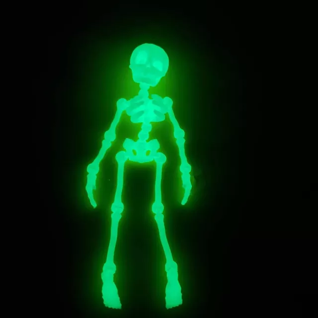 Glow in the dark articulated skeleton with magnetic head.