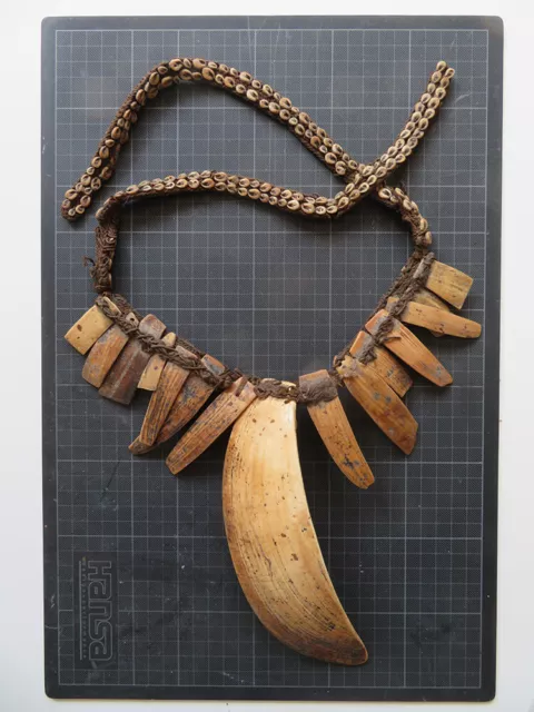 Bailer-Shell Halskette, Headhunter/Krieger der Asmat/Dani, Papua-Neuguinea, no 1