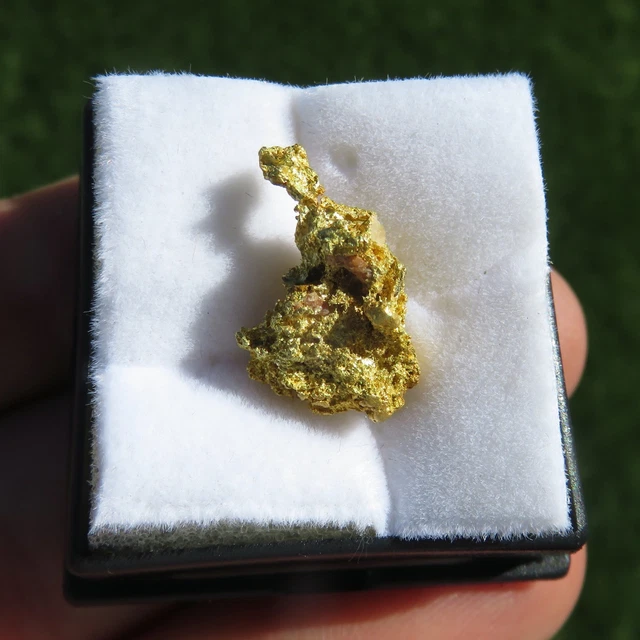 Pépite D'or Cristallisé Naturel - RARE - Provenance : Australie Occidentale - Minéralogie