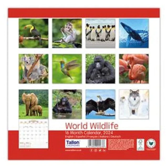 WORLD WILDLIFE 2024 Calendar Large Square Wall Wild Animal Calendar