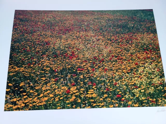 Ernst Haas Sicily, 1965. The Creation Portfolio signed. Limited Edition