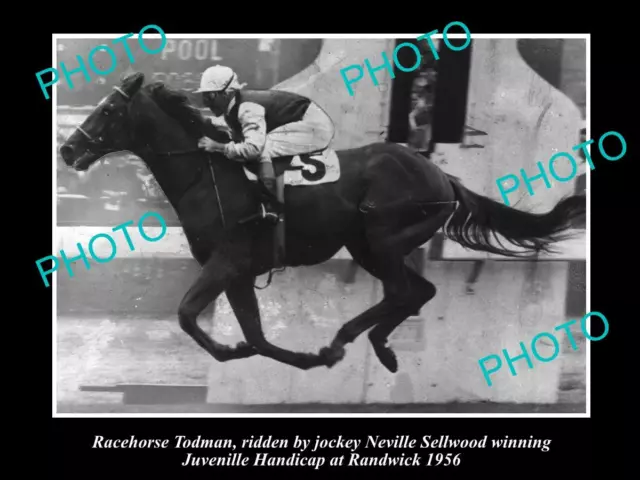 Old Historic Horse Racing Photo Of Todman & Neville Sellwood Winning At Randwick
