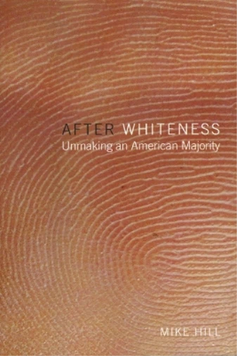 MIKE HILL AFTER Whiteness (Relié) Cultural Front EUR 124,20 - PicClick FR