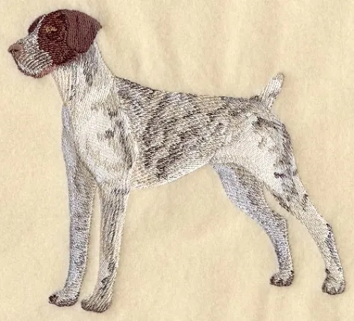 Embroidered Short-Sleeved T-Shirt - German Shorthaired Pointer C4970