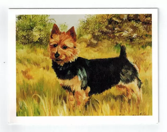 New Australian Terrier in Field Notecard Set - 6 Note Cards By Ruth Maystead