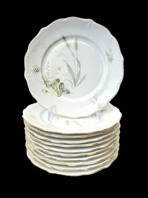 Forest “Harvest” Thistle Dessert or Salad Plates. Set of 11. GERMANY