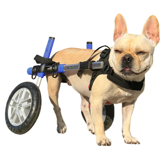 Dog Wheelchair - For Small Dogs 11-25lbs - By Walkin' Wheels