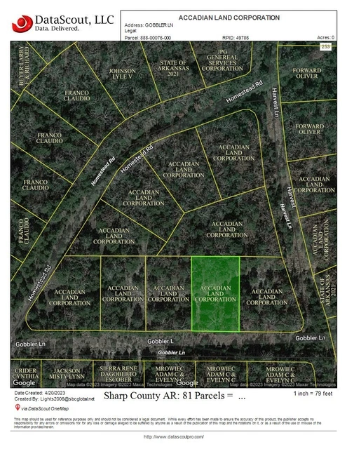 Residential Real Estate - .31 Acre Land Lot - Sharp County Arkansas - No Reserve