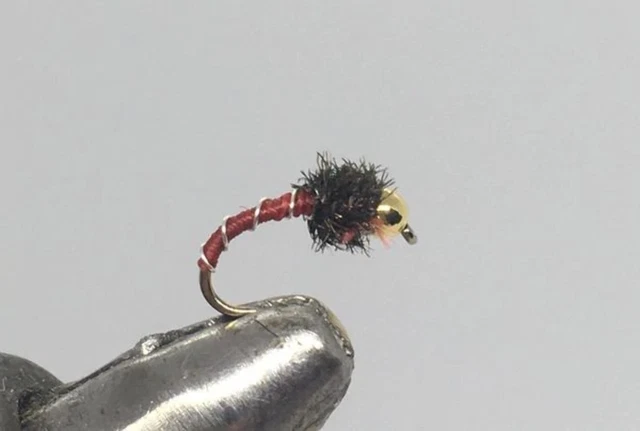 One Dozen (12) - Tungsten Beadhead Zebra Midge - Red/Peacock - Nymph