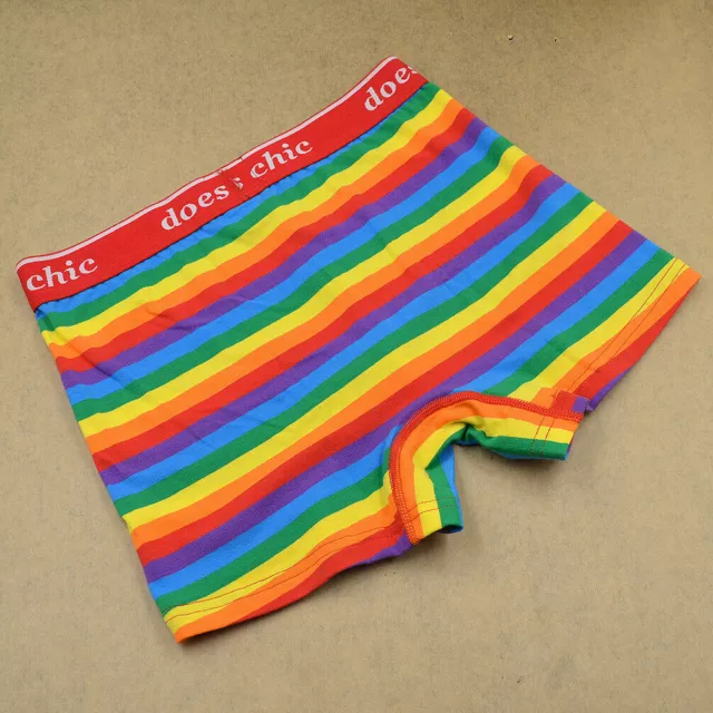 Para hombres Ropa Interior a Rayas Arco Iris Orgullo Gay Bisexual Boxer LGBT Pantalones Cortos Ropa 2