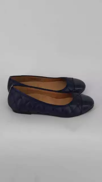 Vionic desiree flat online