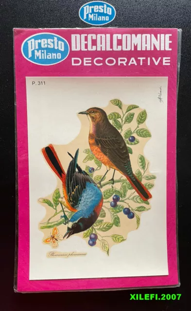uccelli codirosso decalcomanie decorative anni 70 presto mi vintage 70 uccello