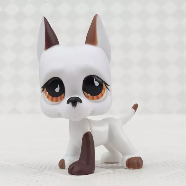 Littlest pet shop RARE Great Dane Dog Puppy old #750 White Chocolate Brown White