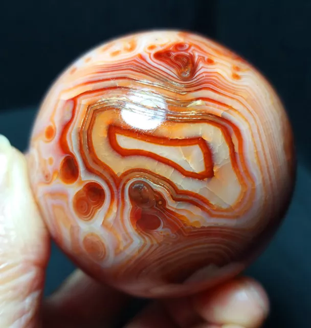 TOP 257G Natural Polished Red Agate Carnelian Crystal Sphere Ball Healing YWD411