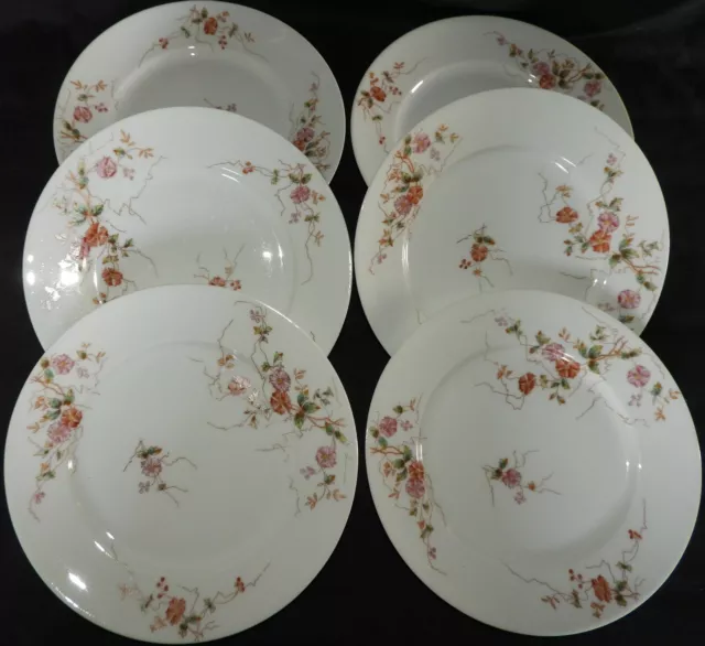 L] Porcelaine de Limoges vers 1900 (x6 ASSIETTES PLATES) fleurs FLOWERS (lot n°1