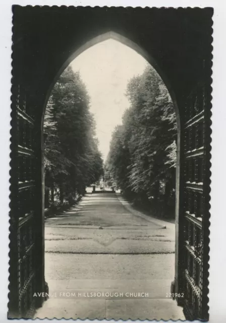 Northern Ireland Avenue from Hillsborough Church Co Down Real Photo Postcard B12