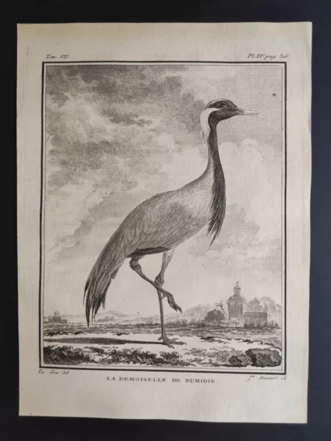 Le Demoiselle de Numidie, Oiseaux Buffon, De Sève, Mansard, Stampa 1780