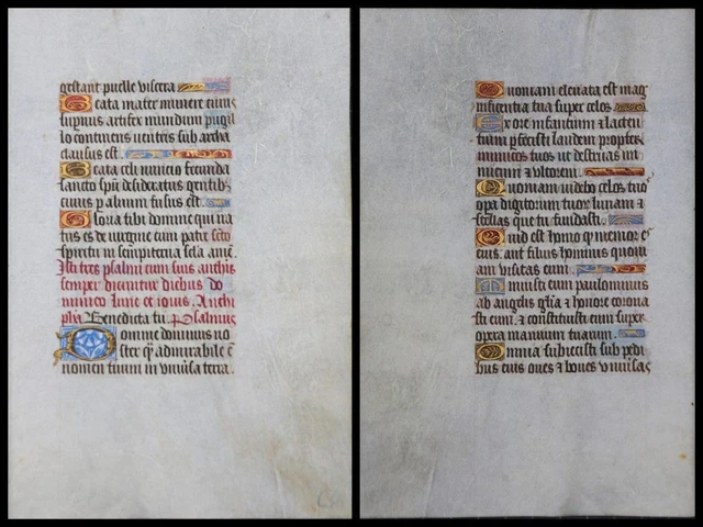 Illuminierte Grafia Su Pergamena Foglia Di Uno Miniatura Um 1500 (117)