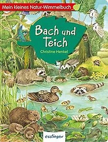 MEIN KLEINES NATURWIMMELBUCH Bach und Teich Buch Zustand sehr
