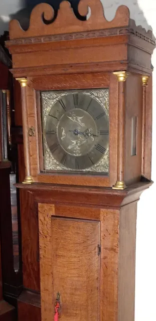 Light   Oak  Case  " Buxton "  Brass Dial   Longcase  Clock