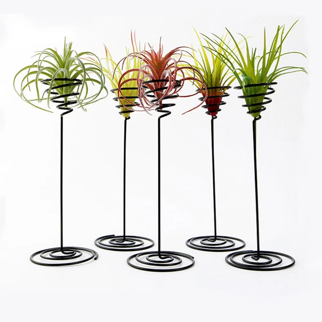 Air Plant Pots Metal Bracket Indoor Pots Plants Display Stand