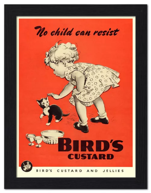 birds custard advertising vintage / retro repro metal A4  sign/poster wall decor 2