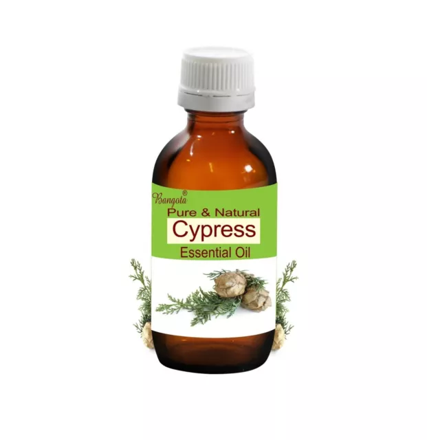 Aceite esencial natural puro de ciprés Cupressus sempervirens de Bangota