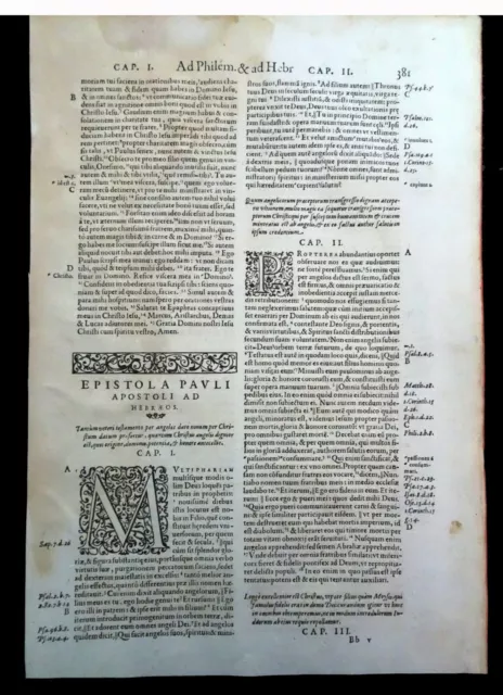 Complete book of Hebrews from a post-incunable Latin Vulgate from 1569