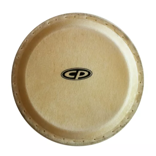 Latin Percussion CongaFell CP636B, 10", f. CP636 Conga