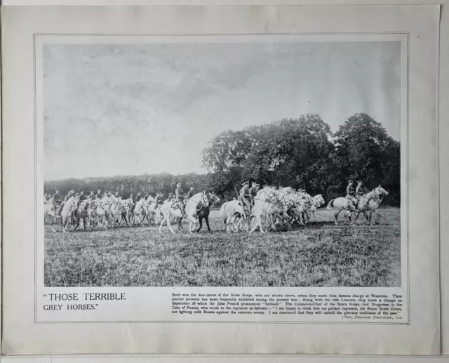 1915 Ww1 Print & Text Grey Lancers Scots Greys