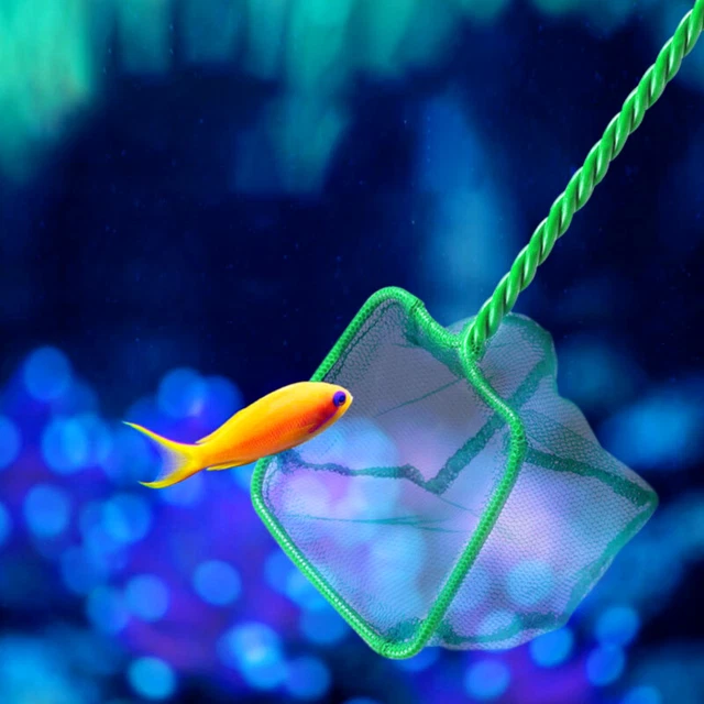 5inch Aquarium Small Portable Fish Catch Tank Net Long Mesh Handle Accessories 3