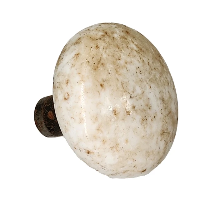 Antique / Vintage Speckled Doorknob~ Farmhouse Or Rustic Decor