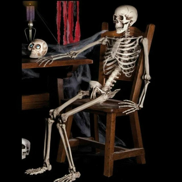 Halloween Human Skeleton Oversized Poseable Full Life Size Decoration Party Prop