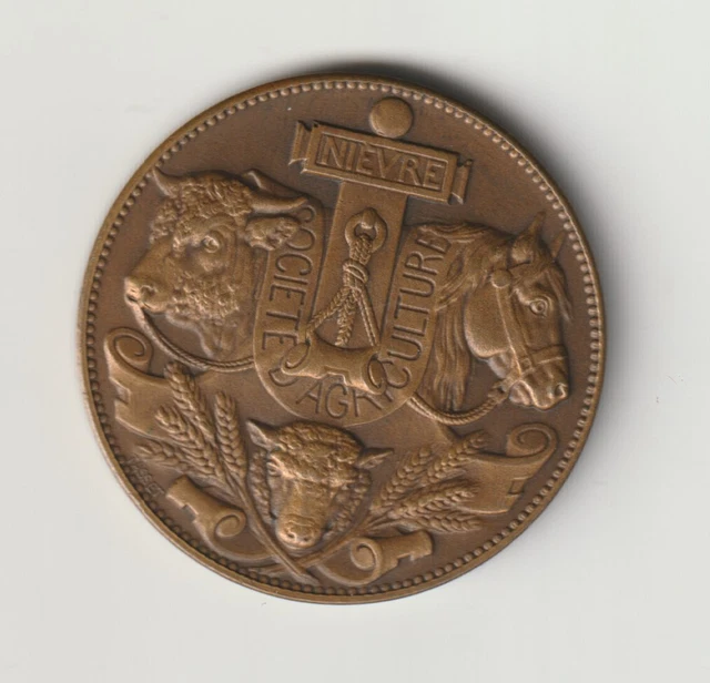 Médaille De La Société De Sauvetage De La Nièvre 1879 - Bronze - Décoration Historique Attribuée - Pièce De Collection Rare