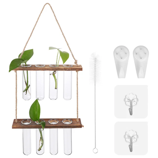 Jarrón de cebolla hidropónico vidrio de oficina con alto contenido de borosilicato