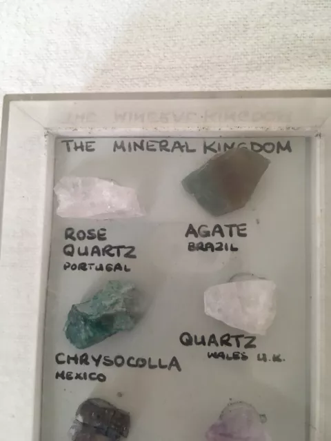 The Mineral Kingdom Display Box Of Six Different Crystals Collectable 3