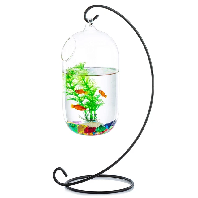 Desk Glass Hanging Fish Bowl Tank Beta Tank with Stand Fish Homes Creative