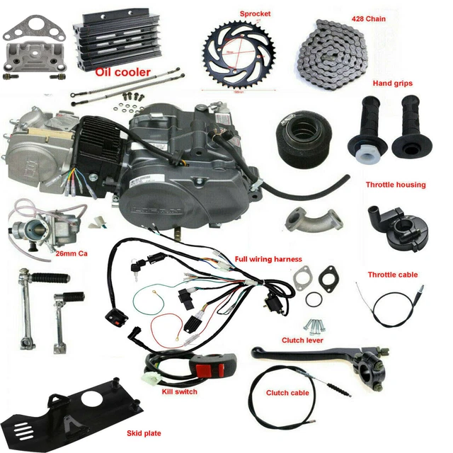 BLACK Engine Chain Sprocket Magneto Cover Casing Case 140cc PIT Trail Dirt Bike - Foto 6